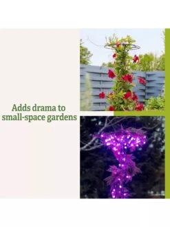 Essex Tuteur, 63" -Garden Care Store 8594162 3