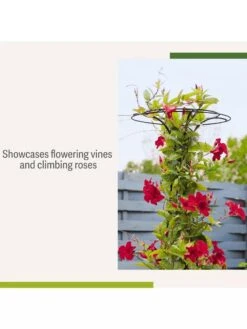 Essex Tuteur, 63" -Garden Care Store 8594162 4