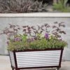 Short Galvanized Self-Watering Trough Planter 1 Short Galvanized Self-Watering Trough Planter -Garden Care Store 8594329 5064 tif