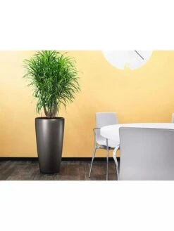 Lechuza® Rondo Self-Watering Planters 8 Lechuza® Rondo Self-Watering Planters -Garden Care Store 8594586 02V tif