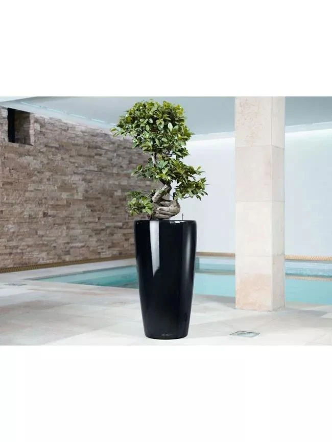 Lechuza® Rondo Self-Watering Planters 4 Lechuza® Rondo Self-Watering Planters - Image 2