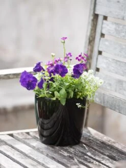 Viva Round Self-Watering Planter, 7" Diameter 11 Viva Round Self-Watering Planter, 7" Diameter -Garden Care Store 8595222 1140 tif