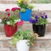 Viva Round Self-Watering Planter, 7" Diameter -Garden Care Store 8595222 5302 tif