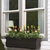 Valencia Window Box, 3' 1 Valencia Window Box, 3' -Garden Care Store 8596436 7496 tif