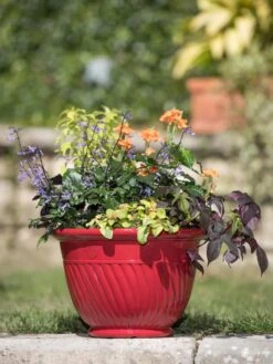 Mazzano Self-Watering Planters -Garden Care Store 8596564 4883 tif