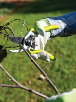 Gardener's Pro Pruner #2 -Garden Care Store 8596605 032 tif