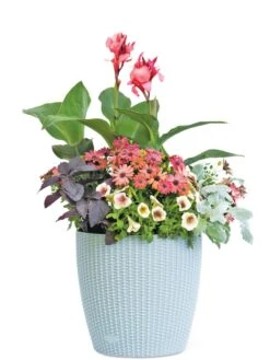 Weave Self-Watering Round Planter, 14" -Garden Care Store 8597388 2175 tif