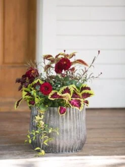 Galvanized Ribbed Planters -Garden Care Store 8597435 1693 tif