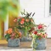 Galvanized Ribbed Planters -Garden Care Store 8597436 1680 tif