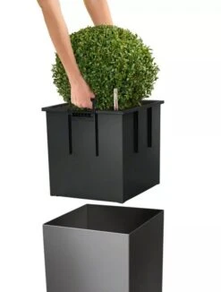 Lechuza® Cube Premium Planters -Garden Care Store 8597506 04V tif