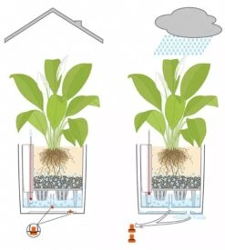 Lechuza® Cube Premium Planters -Garden Care Store 8597506 05V tif