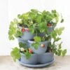 Stacking Strawberry Pot -Garden Care Store 8597996 9004 tif