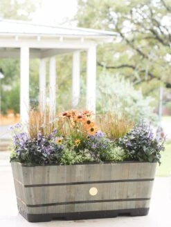 VegTrug™ Trough Planters 16 VegTrug™ Trough Planters -Garden Care Store 8598402 08880 tif
