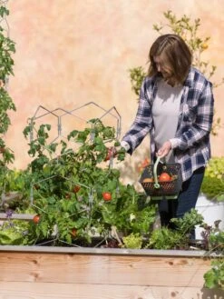 Gardener's Vertex Lifetime Tomato Cage -Garden Care Store 8598426 0026 tif