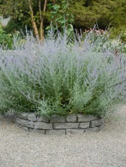 Rock Lock Interlocking Garden System, Curved Sets -Garden Care Store 8598737 04V tif