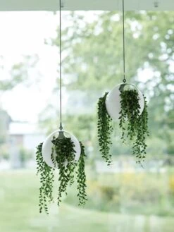 Exaco Euro Hanging Planters, Set Of 2