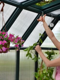 Canopia® By Palram Hobby Gardener Greenhouse, 8' -Garden Care Store 8599331 04V tif