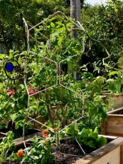 Gardener's Vertex Lifetime Pepper And Eggplant Cage -Garden Care Store 8599554 01CUST tif