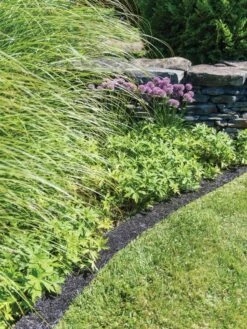 Recycled Rubber Mulch Edging, 12’ X 6” -Garden Care Store 8599854 0897 tif