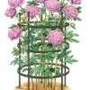 Titan Peony Supports, Large, Set Of 2 -Garden Care Store 8599857 0001 art tif