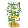 Titan Pepper Eggplant Cages, Set Of 3 1 Titan Pepper Eggplant Cages, Set Of 3 -Garden Care Store 8599859 0001 art tif