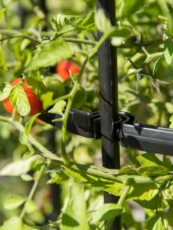 Titan Tomato Cages, Set Of 3 15 Titan Tomato Cages, Set Of 3 -Garden Care Store 8599861 0079 tif 1