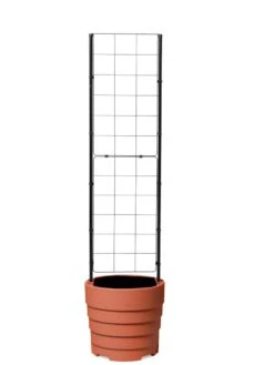 Gardener’s Victory Self-Watering Planter With Vine Trellis 19 Gardener’s Victory Self-Watering Planter With Vine Trellis -Garden Care Store 8600178 7000 tif