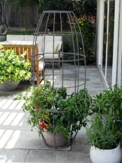 Toki Bubble Trellis 11 Toki Bubble Trellis -Garden Care Store 8600520 07V jpg