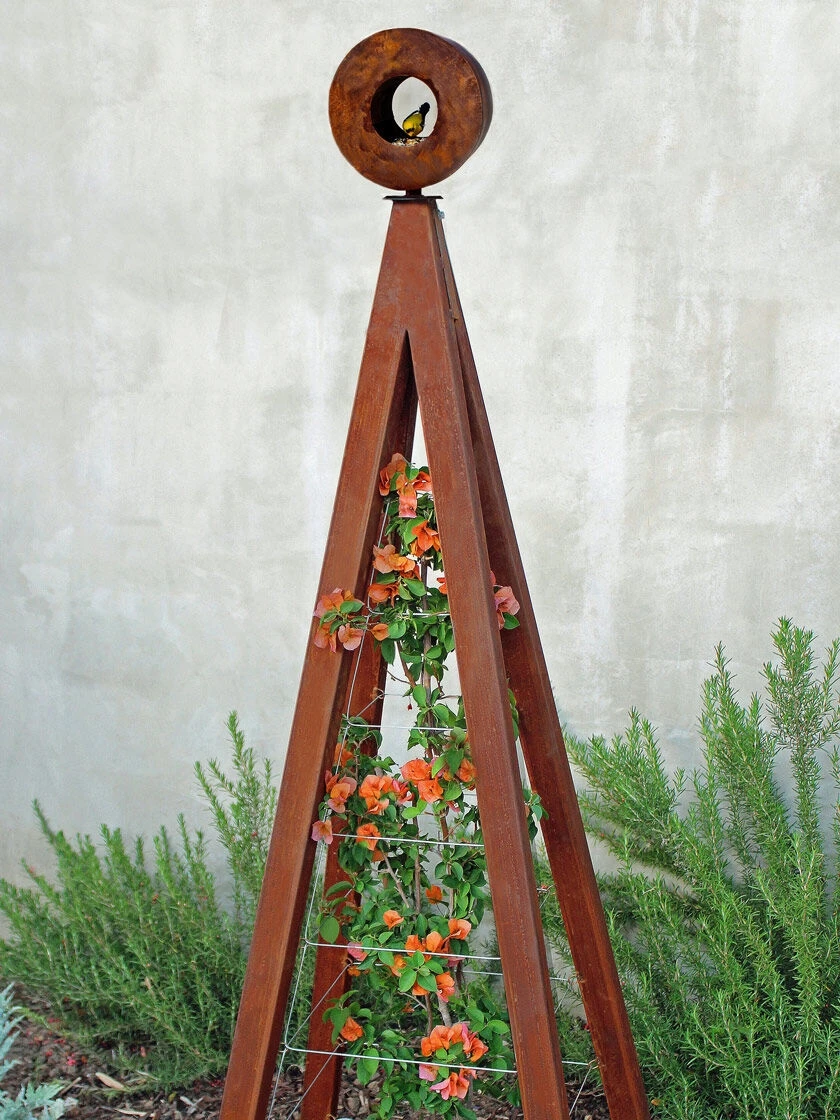 Bird Cafe + Akoris Garden Tuteur Sr. 3 Bird Cafe + Akoris Garden Tuteur Sr.