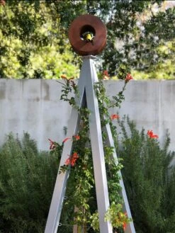 Bird Cafe + Akoris Garden Tuteur Sr. 16 Bird Cafe + Akoris Garden Tuteur Sr. -Garden Care Store 8600525 07v 1