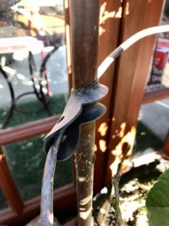 Garden Cane Connects, Set Of 6 -Garden Care Store 8609019 03V tif