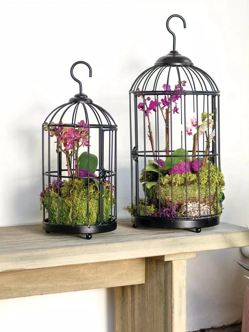 Hanging Birdcage Planter Set 4 Hanging Birdcage Planter Set - Image 2