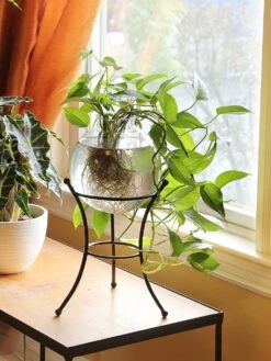 Achla Designs Multi Use Stand 11 Achla Designs Multi Use Stand -Garden Care Store 8609343 01v achla designs multi use stand