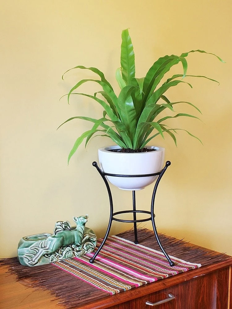 Achla Designs Multi Use Stand 4 Achla Designs Multi Use Stand - Image 2