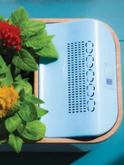 Dewplanter -Garden Care Store 8609512 Dewplanter