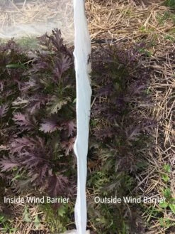 Wind Screen -Garden Care Store 8610175 1245 tif