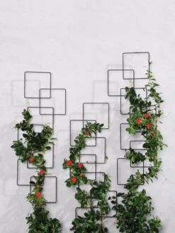 Building Blocks Wall Trellis, 45" 8 Building Blocks Wall Trellis, 45" -Garden Care Store 8610183 5811 tif