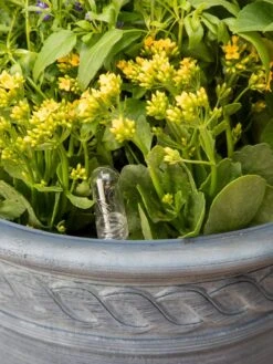 Adjustable Self-Watering Insert For Pots And Planters -Garden Care Store 8610250 0010 tif