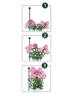 Peacock Mini Plant Support Rings 4", Set Of 2 11 Peacock Mini Plant Support Rings 4", Set Of 2 -Garden Care Store 8610383 07v