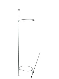 Peacock Mini Plant Support Rings 8", Set Of 2 15 Peacock Mini Plant Support Rings 8", Set Of 2 -Garden Care Store 8610388 9565 tif