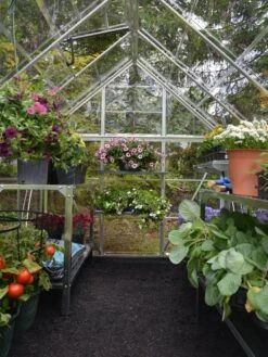 Canopia® By Palram Harmony™ Greenhouse, 6' X 14' 13 Canopia® By Palram Harmony™ Greenhouse, 6' X 14' -Garden Care Store 8610563 03V jpg