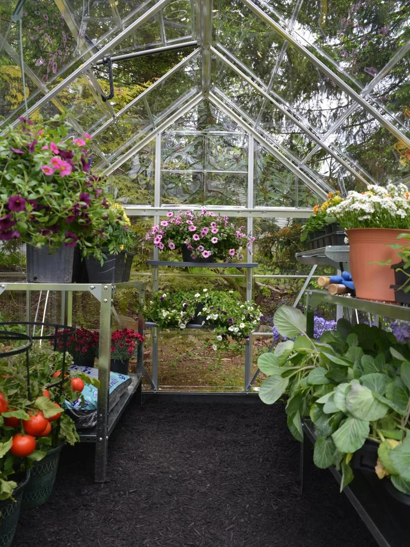 Canopia® By Palram Harmony™ Greenhouse, 6' X 14' 6 Canopia® By Palram Harmony™ Greenhouse, 6' X 14' - Image 4