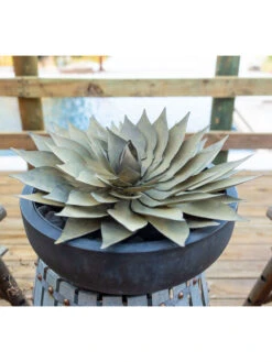 Desert Steel Spiral Aloe Sculpture -Garden Care Store 8610750 02v