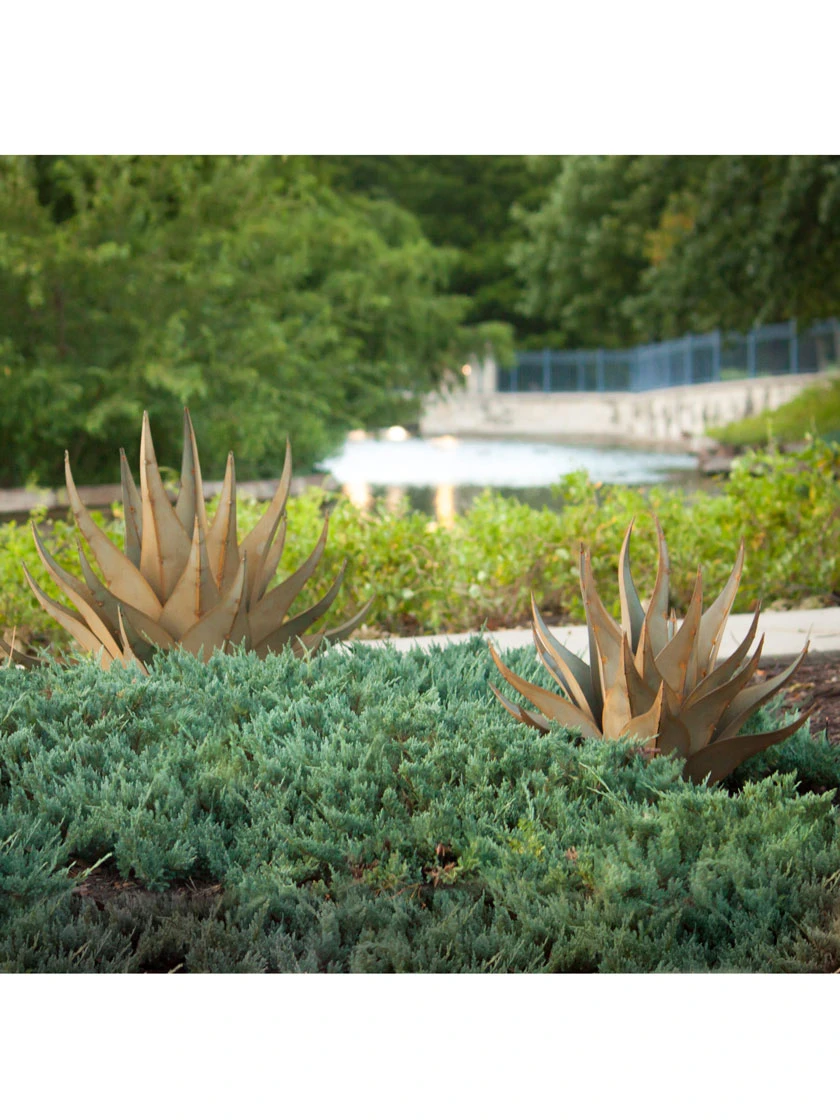 Desert Steel Sharkskin Agave Sculpture 6 Desert Steel Sharkskin Agave Sculpture - Image 4
