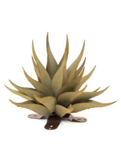 Desert Steel Sharkskin Agave Sculpture 12 Desert Steel Sharkskin Agave Sculpture -Garden Care Store 8610754 01v desert steel sharkskin agave small