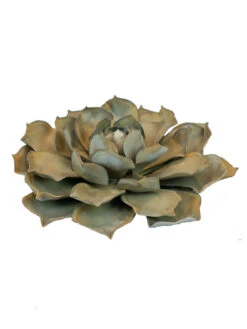 Desert Steel Blue Rose Succulent Sculpture -Garden Care Store 8610763 01v desert steel blue rose succulent small