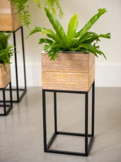 Tartu Elevated Square Planters 15 Tartu Elevated Square Planters -Garden Care Store 8611005 035