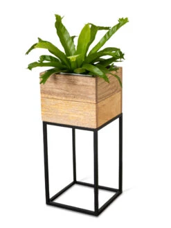 Tartu Elevated Square Planters 20 Tartu Elevated Square Planters -Garden Care Store 8611005 036