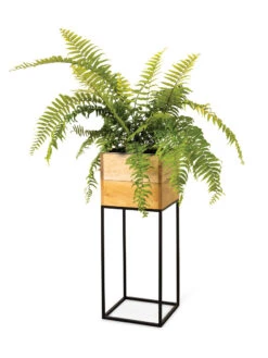 Tartu Elevated Square Planters 18 Tartu Elevated Square Planters -Garden Care Store 8611006 033