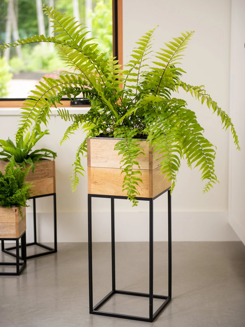 Tartu Elevated Square Planters 4 Tartu Elevated Square Planters - Image 2